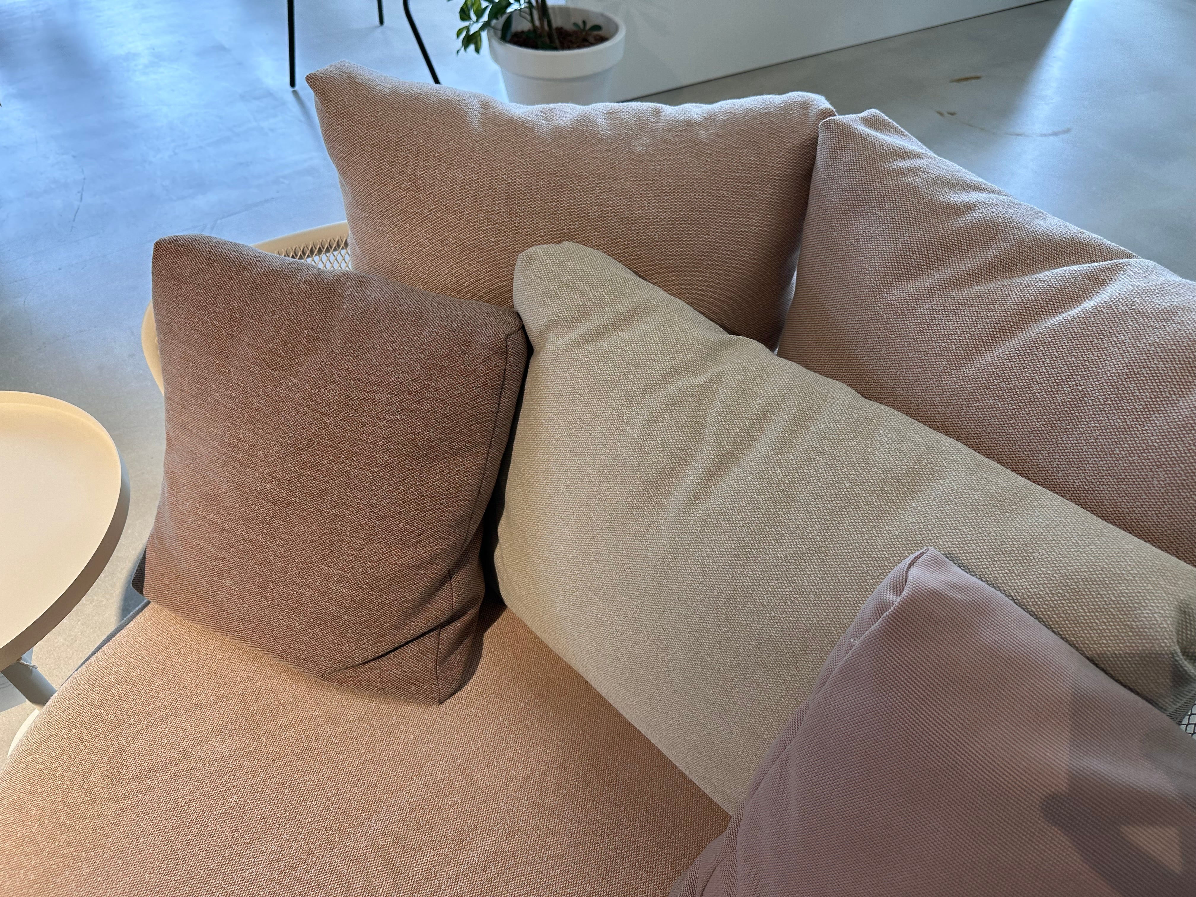 Todus, Baza lounge chair showroomaanbieding