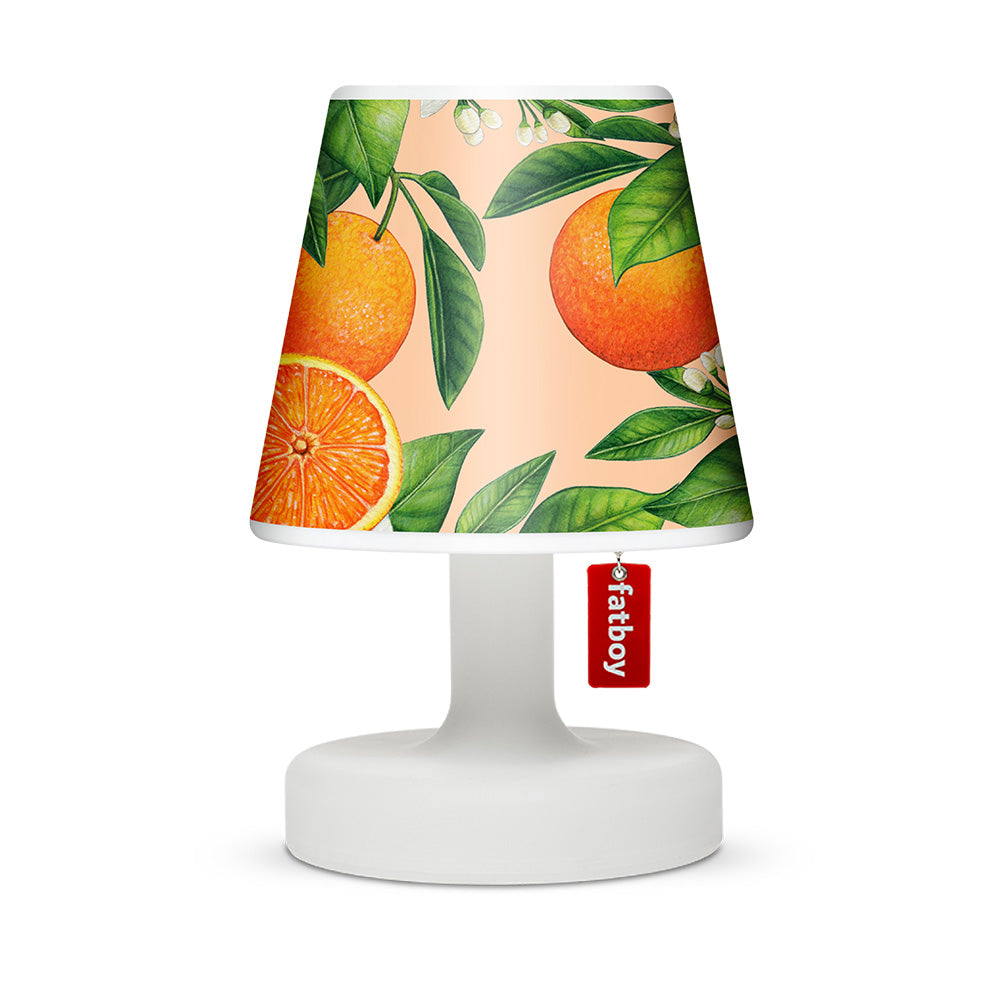 Fatboy Edison The Petit met Cappie