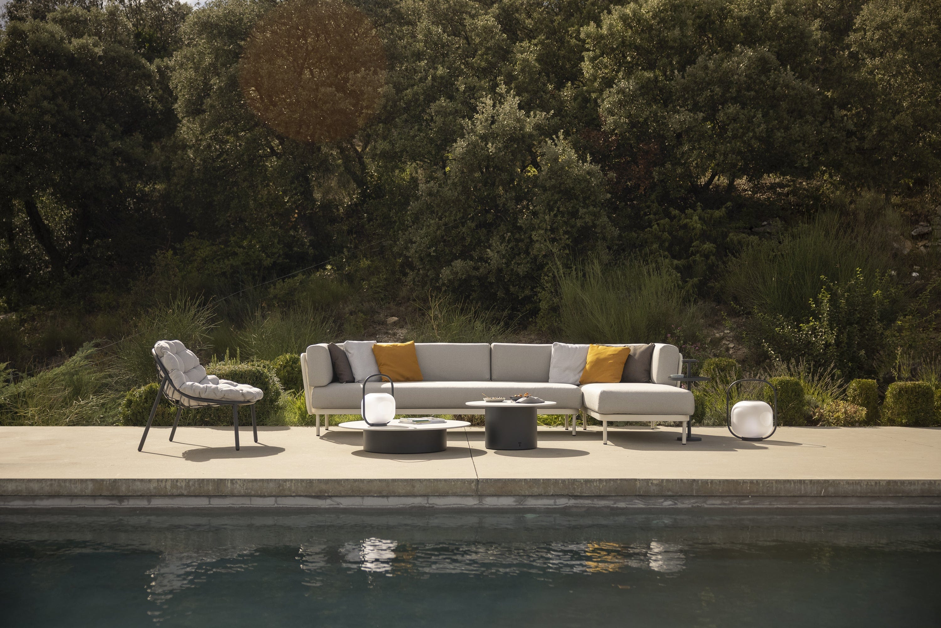 Todus Lounge stoel Todus Albus lage rug lounge stoel. Verkrijgbaar in meerdere kleuren gepoedercoat RVS frame en met meerdere kleuren kussens.