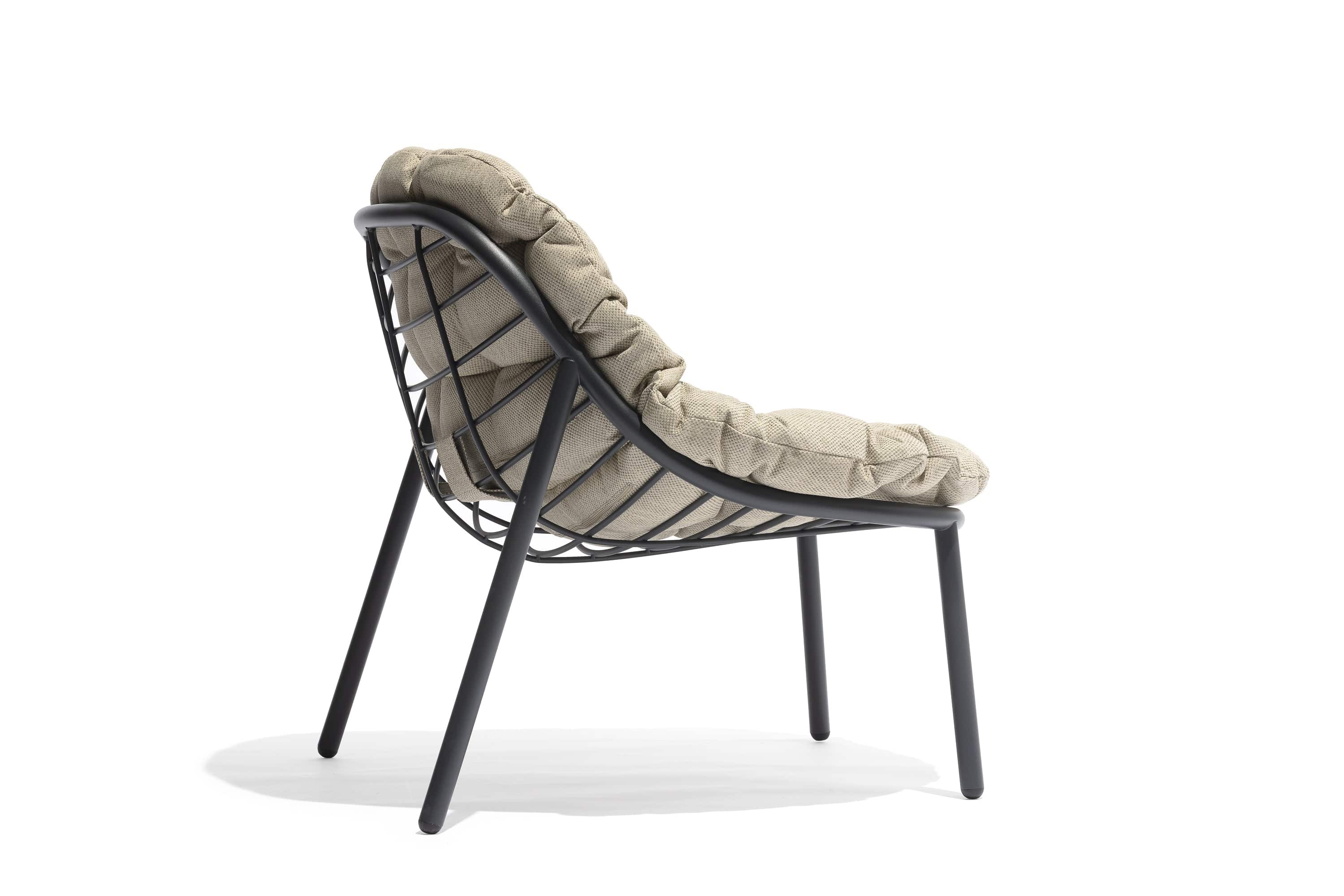 Todus Lounge stoel Todus Albus lage rug lounge stoel. Verkrijgbaar in meerdere kleuren gepoedercoat RVS frame en met meerdere kleuren kussens.