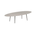Royal Botania Tafel Royal Botania Styletto tafel 320x140 cm. Verkrijgbaar in 35cm, 50cm, 67cm en 75cm, 92cm en 110cm hoog. Diverse kleuren frames en tafelbladen mogelijk.