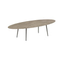 Royal Botania Tafel Royal Botania Styletto tafel 320x140 cm. Verkrijgbaar in 35cm, 50cm, 67cm en 75cm, 92cm en 110cm hoog. Diverse kleuren frames en tafelbladen mogelijk.