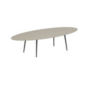 Royal Botania Tafel Royal Botania Styletto tafel 320x140 cm. Verkrijgbaar in 35cm, 50cm, 67cm en 75cm, 92cm en 110cm hoog. Diverse kleuren frames en tafelbladen mogelijk.
