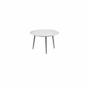 Royal Botania Tafel Royal Botania Styletto tafel ø120cm, Verkrijgbaar in 35cm, 50cm, 67cm, 75cm, 92cm en 110cm hoog. Diverse kleuren frames en tafelbladen mogelijk.