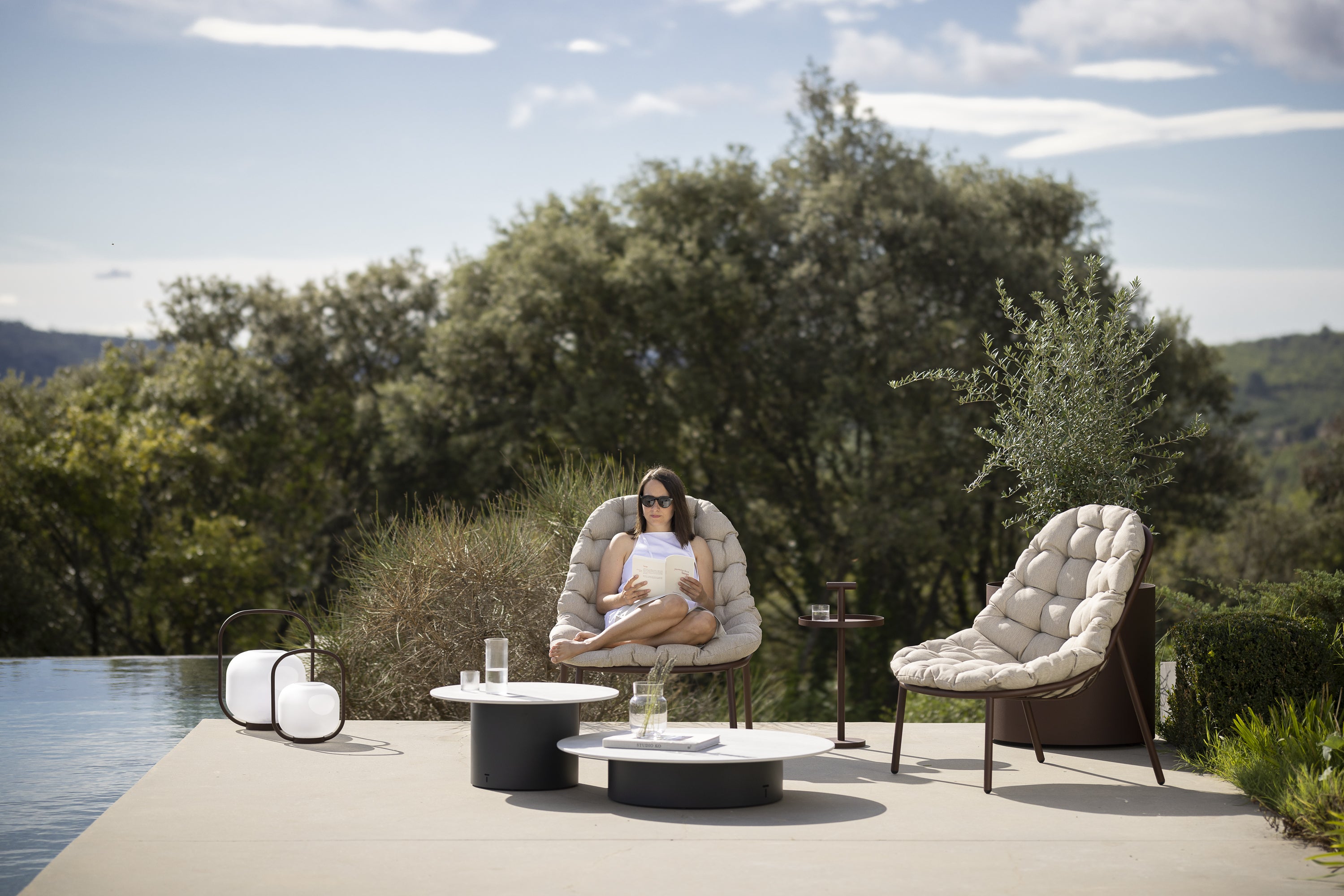 Todus Albus collectie