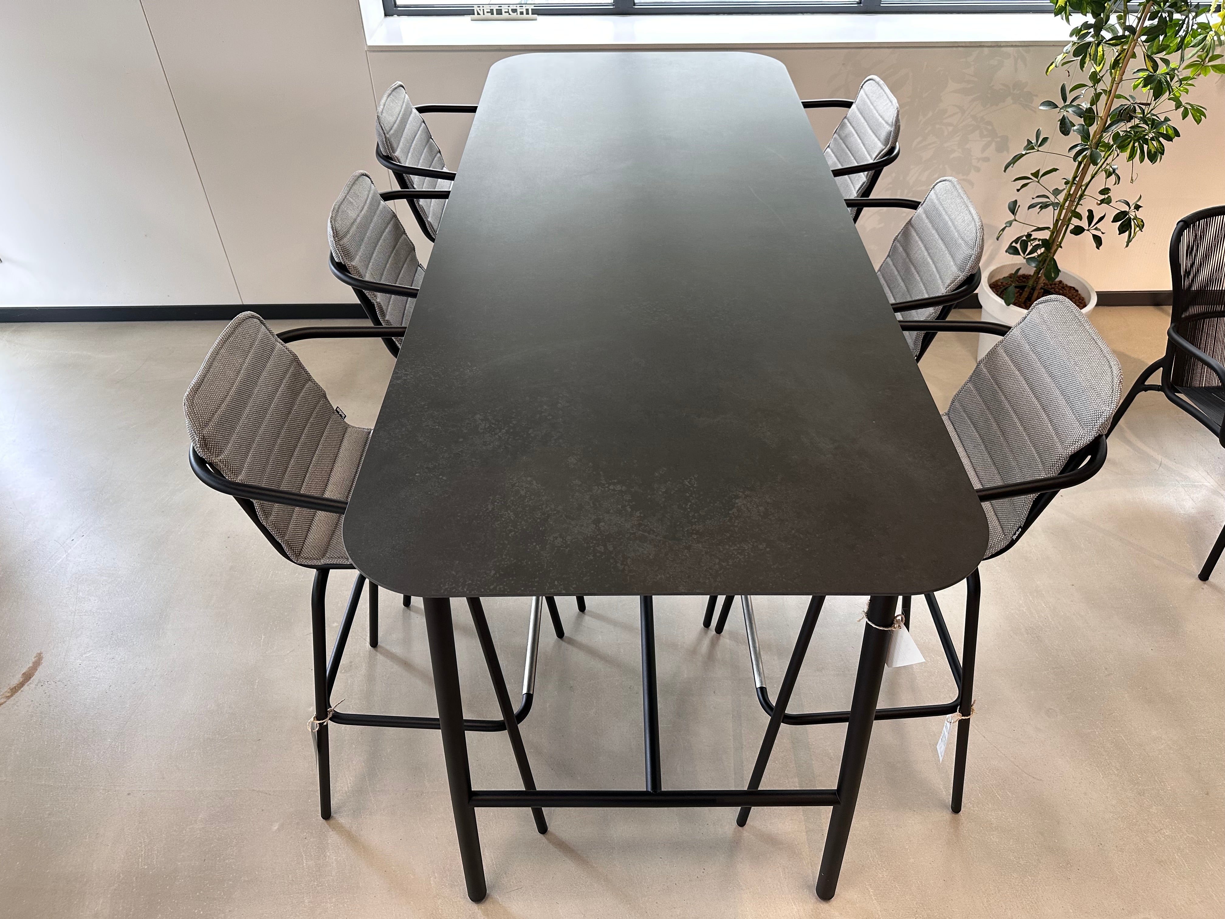 Todus, Starling barset showroomaanbieding