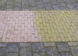 Biomos 5 liter Algaanslag verwijderaar