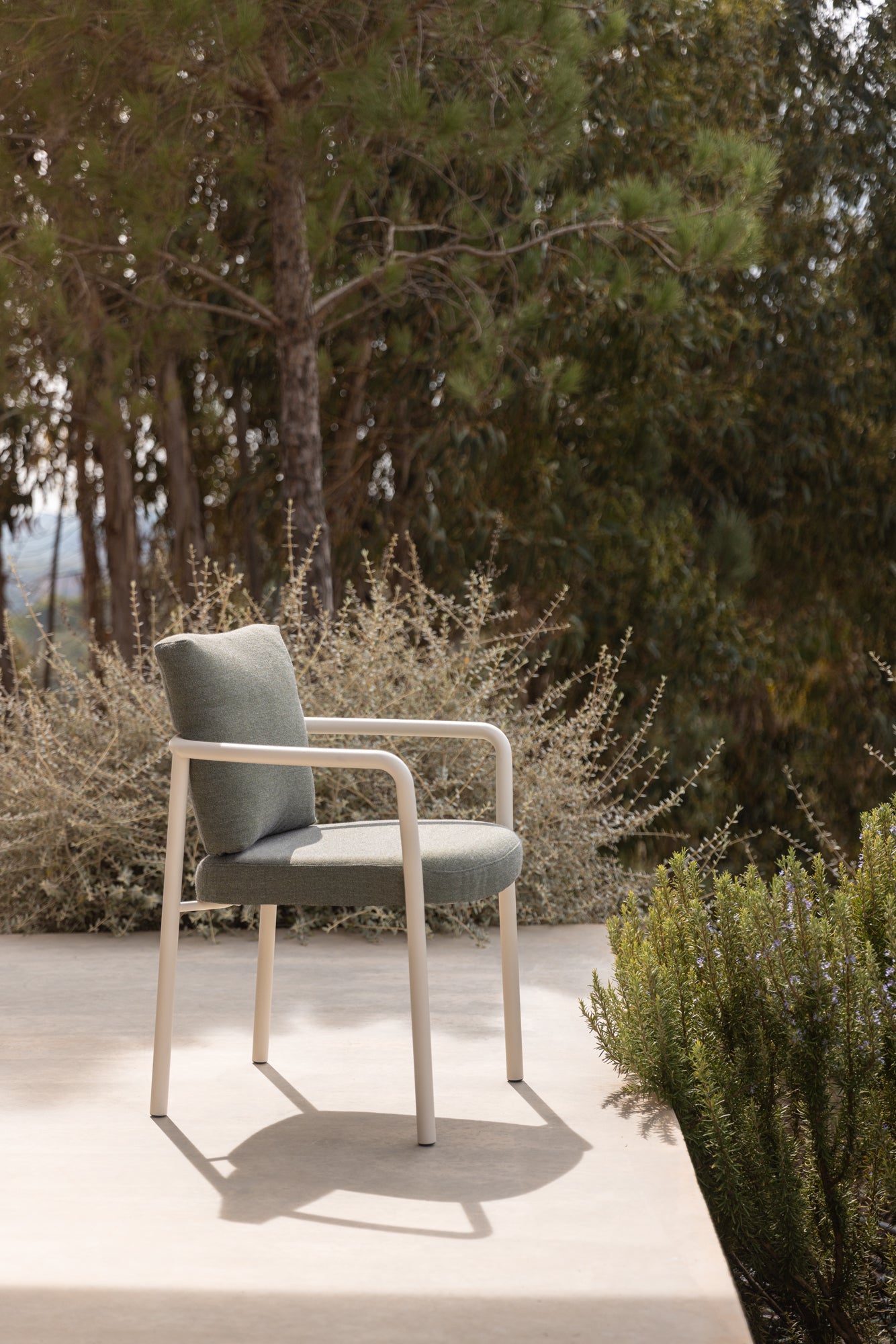 Todus Kori dining armstoel. Meerdere kleuren mogelijk.