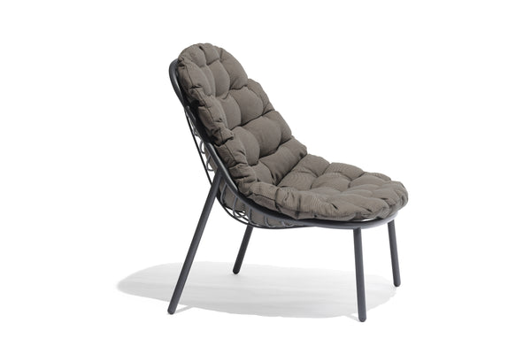 Todus Albus lounge stoel. Verkrijgbaar in meerdere kleuren gepoedercoat RVS frame en met meerdere kleuren kussens.