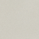 Todus Starling dining armstoel. Meerdere kleuren mogelijk