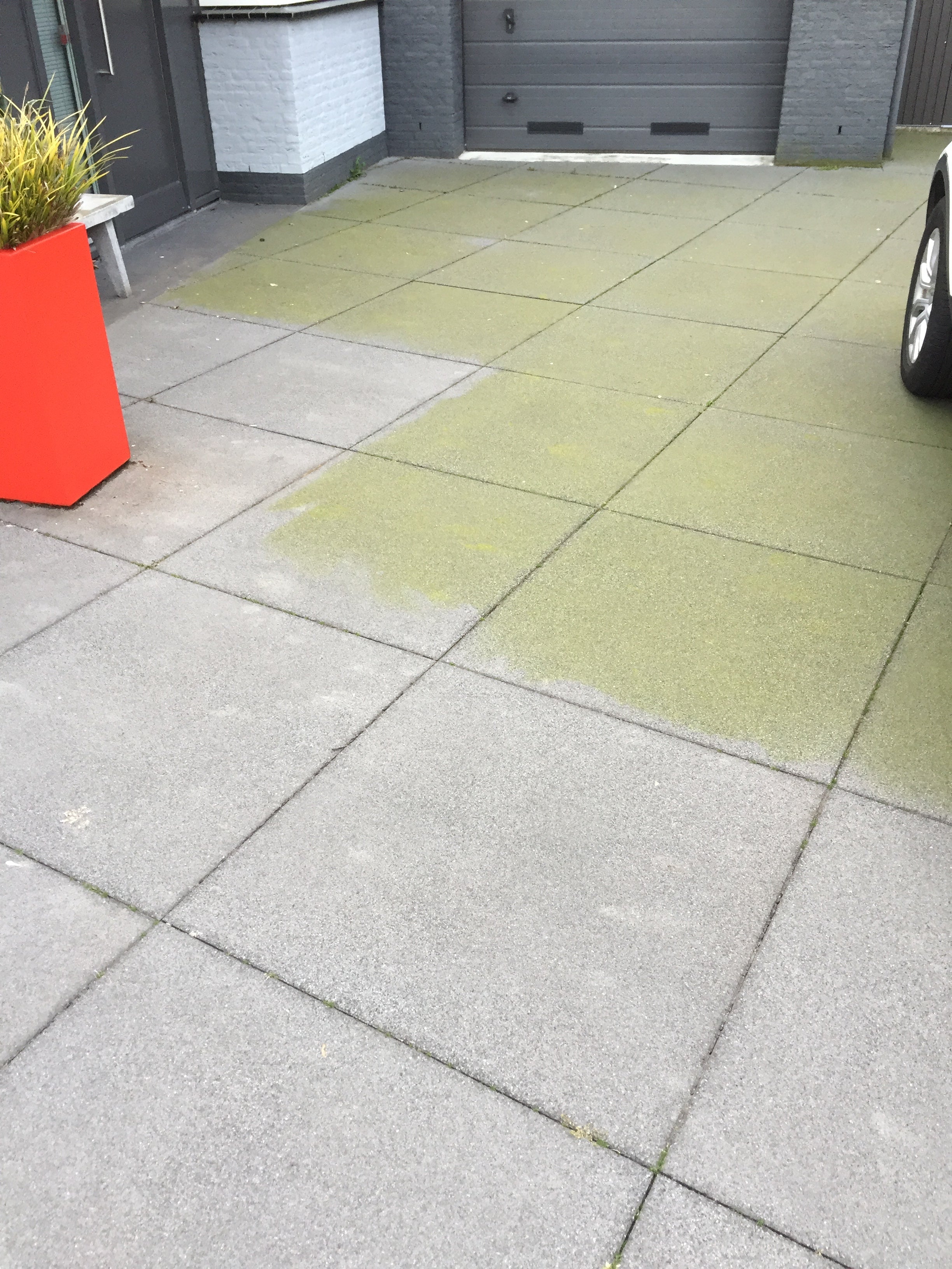 Biomos 10 liter Algaanslag verwijderaar