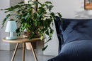 Fatboy® Edison The Ambiance. Oplaadbare dimbare tafellamp. Verkrijgbaar in meerdere kleuren