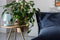 Fatboy® Edison The Ambiance. Oplaadbare dimbare tafellamp. Verkrijgbaar in meerdere kleuren