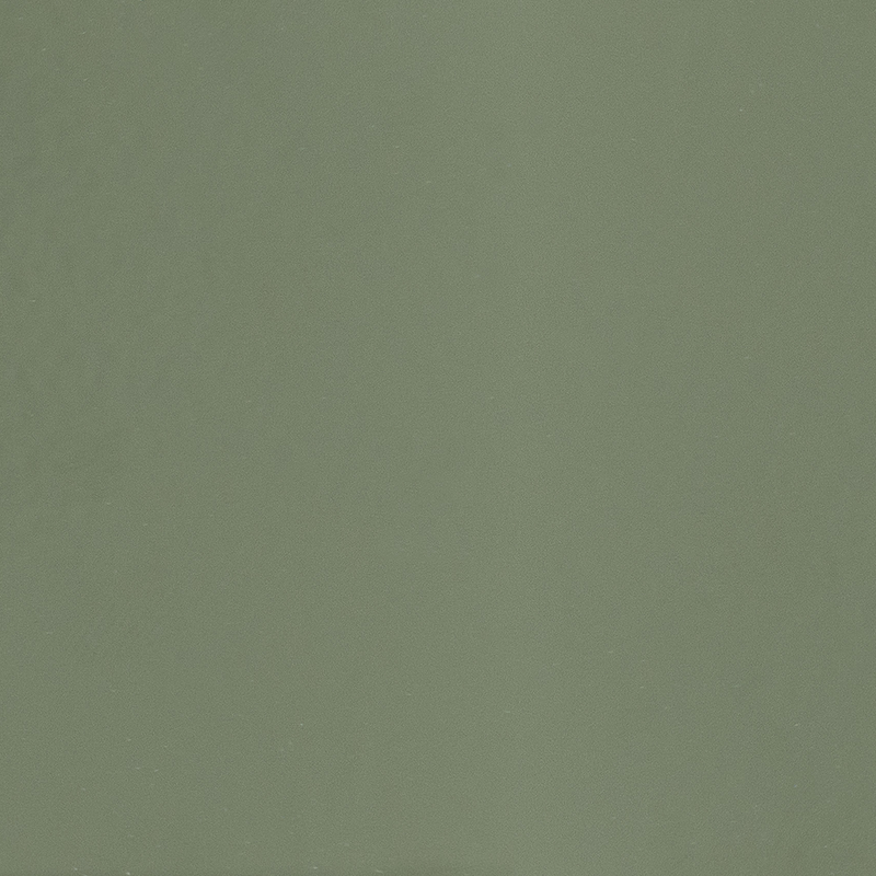 Todus Starling dining stoel met hoge rug. Meerdere kleuren mogelijk.