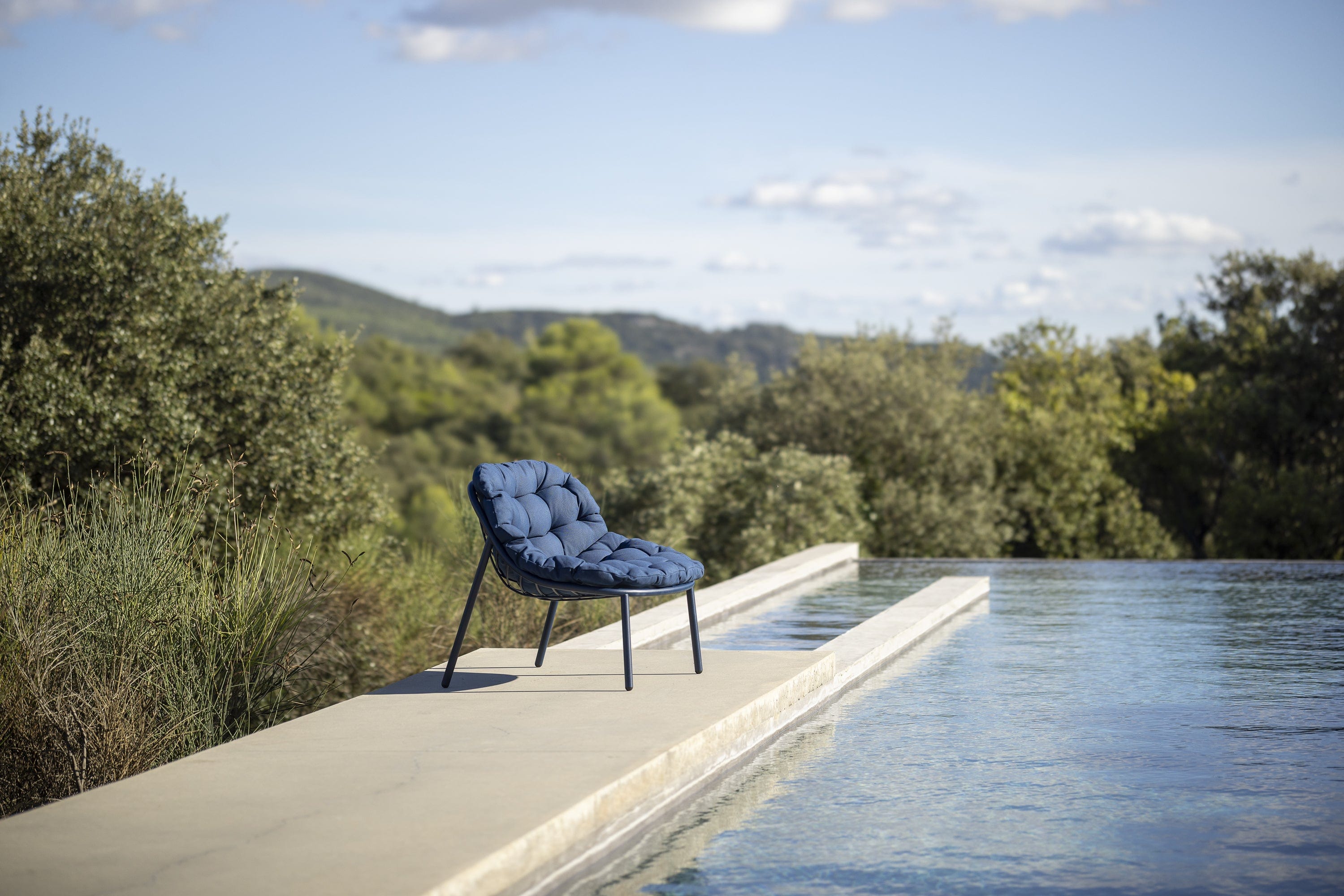 Todus Lounge stoel Todus Albus lage rug lounge stoel. Verkrijgbaar in meerdere kleuren gepoedercoat RVS frame en met meerdere kleuren kussens.