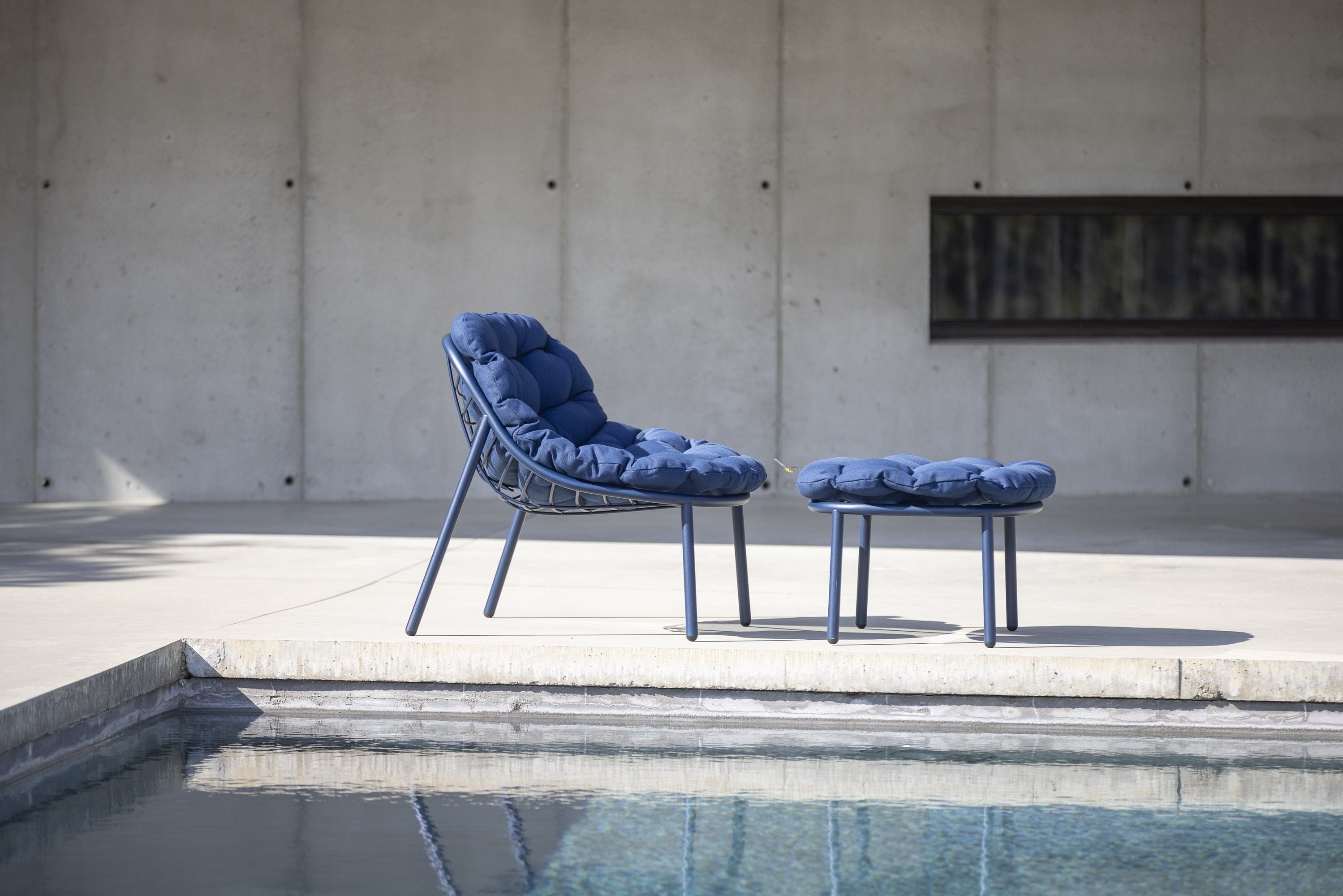 Todus Lounge stoel Todus Albus lage rug lounge stoel. Verkrijgbaar in meerdere kleuren gepoedercoat RVS frame en met meerdere kleuren kussens.