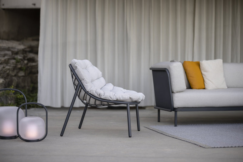 Todus Lounge stoel Todus Albus lage rug lounge stoel. Verkrijgbaar in meerdere kleuren gepoedercoat RVS frame en met meerdere kleuren kussens.