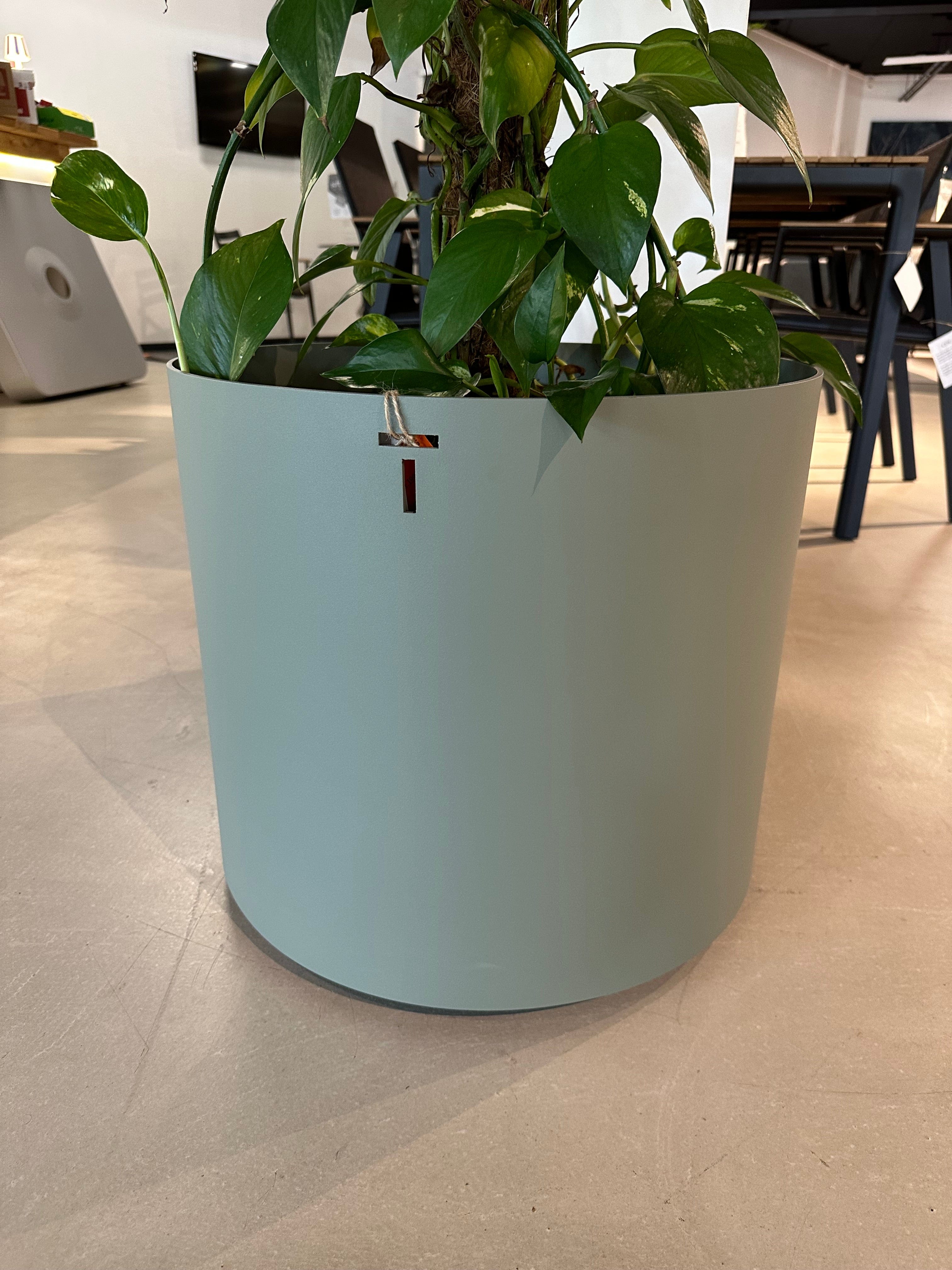 Todus Todus, Planter plantenbak showroomaanbieding