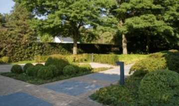 Biomos Mos bestrijding Biomos 1 Ltr algaanslag verwijderaar.