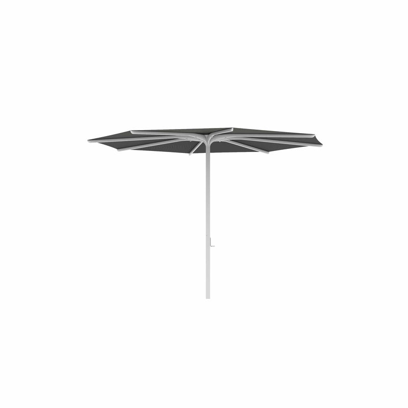 Royal Botania Aluminium stokparasols ø330cm / Gepoedercoat aluminium wit / Zwart Royal Botania Parasol Bloom 275x275 cm