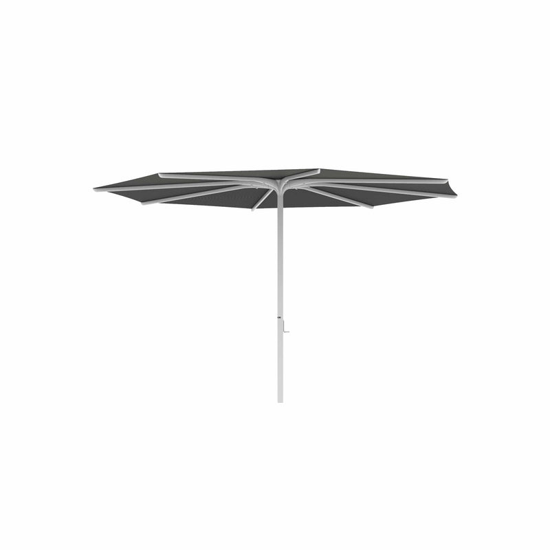 Royal Botania Aluminium stokparasols ø380cm / Gepoedercoat aluminium wit / Zwart Royal Botania Parasol Bloom 275x275 cm