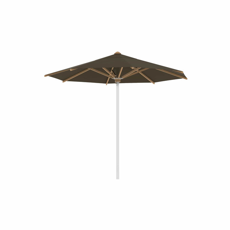 Royal Botania RVS stokparasols ø 300 cm / RVS Electro Polished / Fondant Royal Botania Shady, RVS stokparasol met teakhouten baleinen verkrijgbaar in diverse afmetingen en kleuren.