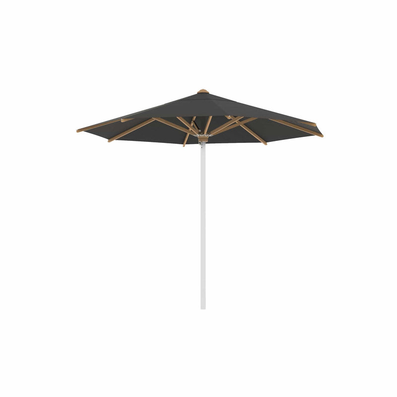 Royal Botania RVS stokparasols ø 300 cm / RVS Electro Polished / Zwart Royal Botania Shady, RVS stokparasol met teakhouten baleinen verkrijgbaar in diverse afmetingen en kleuren.