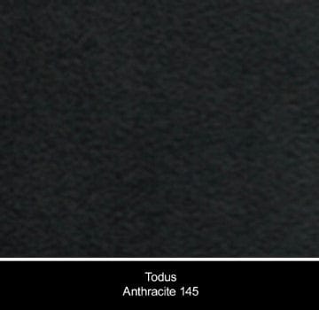 Todus Stoel Todus Duct eetstoel met arm. Verkrijgbaar in meerdere kleuren frame's en met meerdere kleuren kussens.
